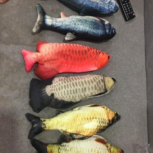 Đồ chơi cá giãy