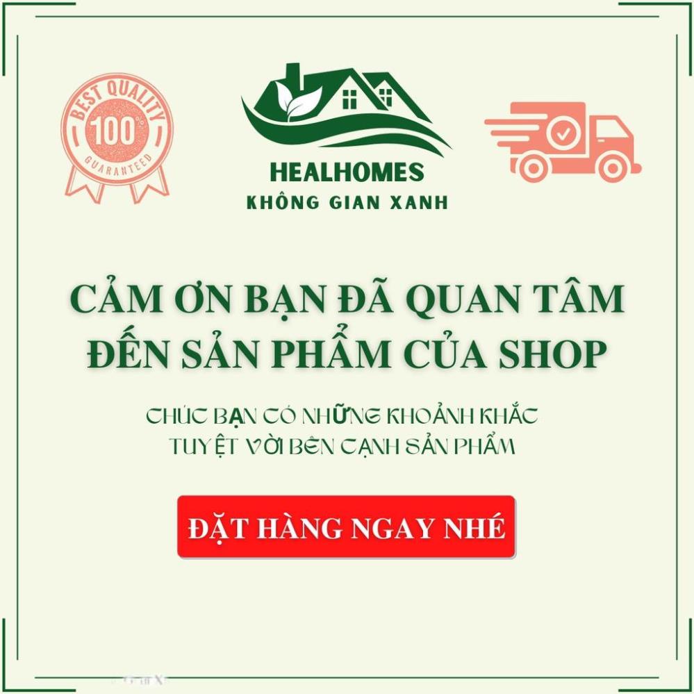 Ghế lười thư giãn Papasan 1m2 mây nhựa phòng ngủ cho bé, decor ban công nằm thư giãn, trang trí phòng khách / HealHomes