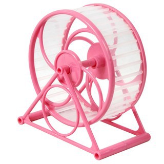 1 Vòng chạy cho hamster cầu vòng- whell chạy cho hamster- bánh chạy cho hamster màu sắc tươi tắng