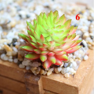 Cây nhựa trang trí: Sen đá thược dược đỏ