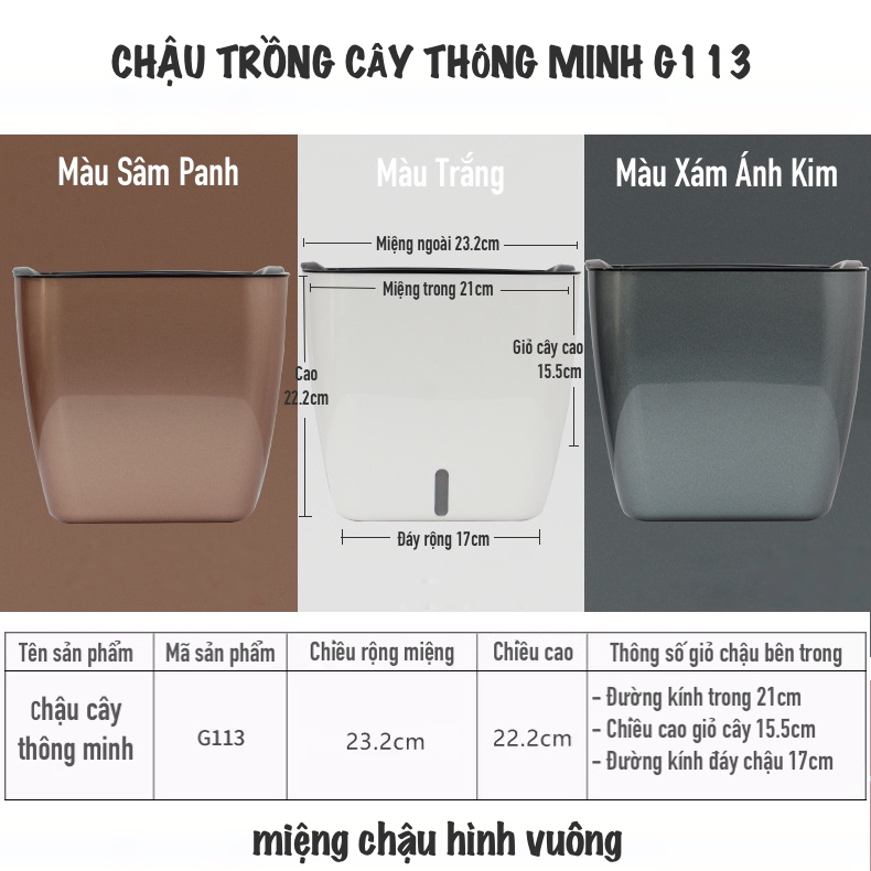 Chậu trồng cây Oliz G113. Chậu trồng cây tự tưới