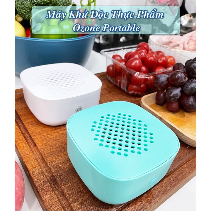 Máy Khử Độc Thực Phẩm, Ozone Portable - cao cấp