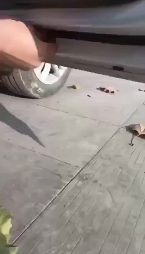 Gioăng cửa ô tô, Ron cao su chống ồn chống bụi