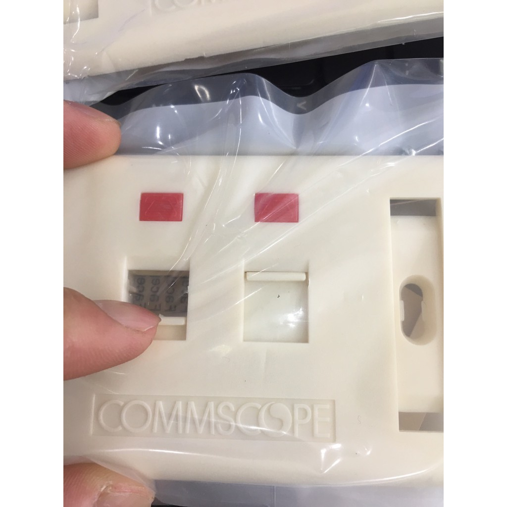 Mặt Chữ Nhật, Wallplate AMP 2 Cổng Có Cửa Sập nắp nhân mạng cat5, cat6