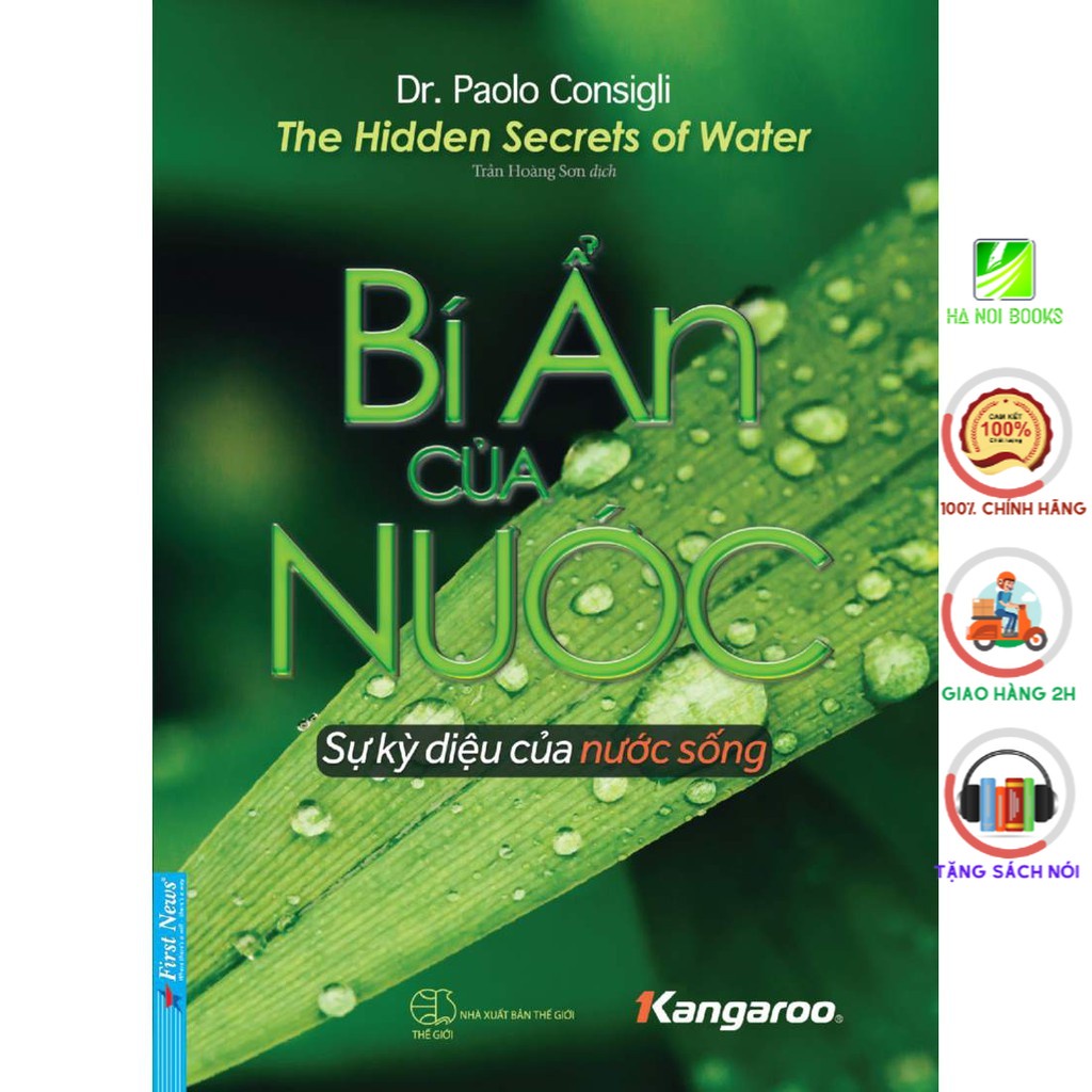 Sách - Bí Ẩn của Nước - First News