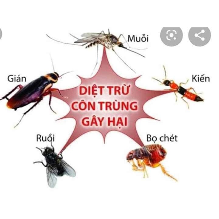 Hương Diệt Muỗi, Nhang muỗi, Côn Trùng An Toàn, Không Độc Hại, Thành Phần Tự Nhiên - HỘP 30 CÂY