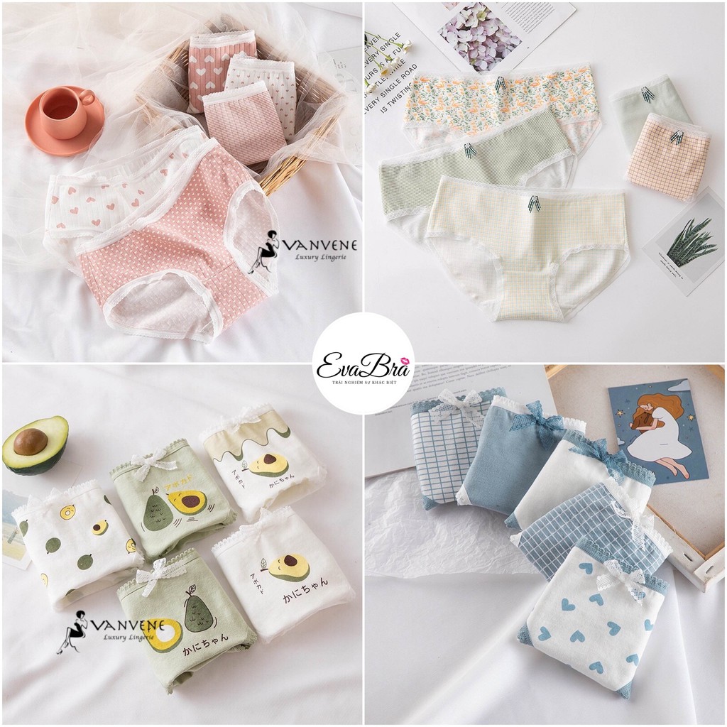 COMBO 5 QUẦN LÓT COTTON EVABRA COMBO 5 QUẦN CHIP NỮ NHIỀU LOẠI CẠP VỪA CẠP VỪA CHỐNG HẰN LỘ VIỀN CO GIÃN NHIỀU Q230