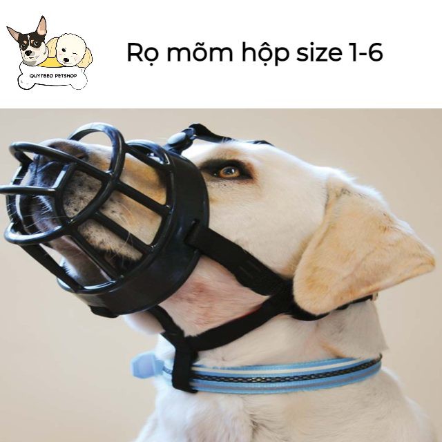 Rọ mõm hộp chó to