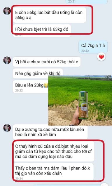 Combo 5 hộp trà Kiều Mạch giá sỉ