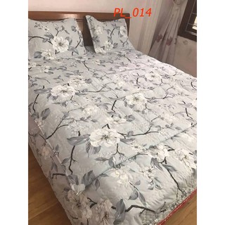 sỉ bộ chăn ga trần bông