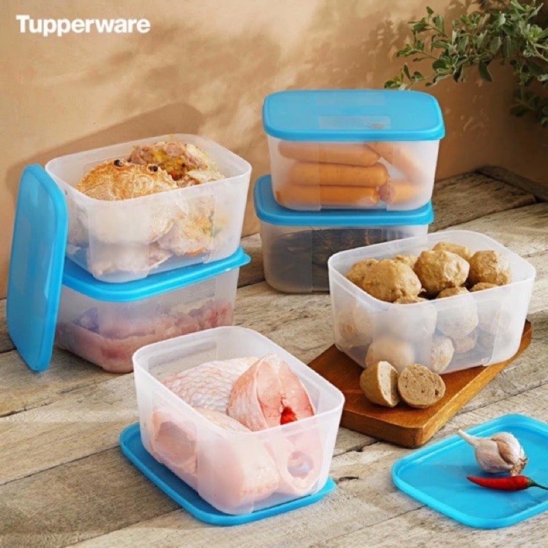 Hộp trữ đông Tupperware 650ml♥️ hộp trữ đông dẹt Tup 650ml♥️ bộ ngăn đông 650ml