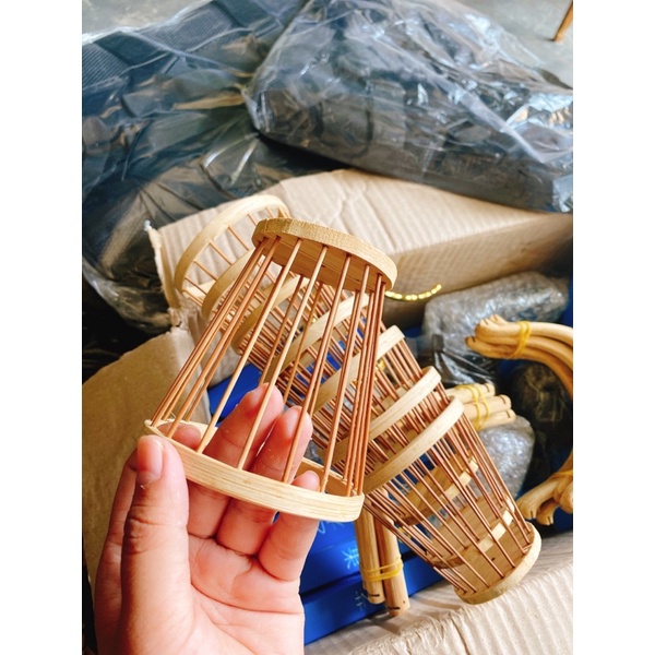 CHỐNG NGOÁI CHO CHIM