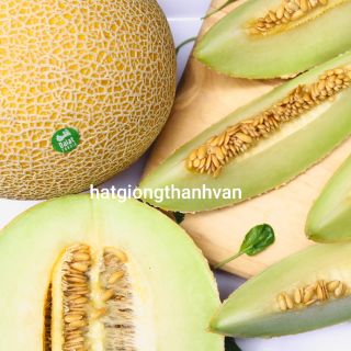 20 HẠT DƯA LƯỚI