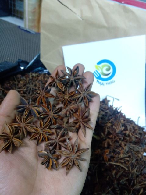 Đại Hồi - Star anise (Thực Thảo) 500g