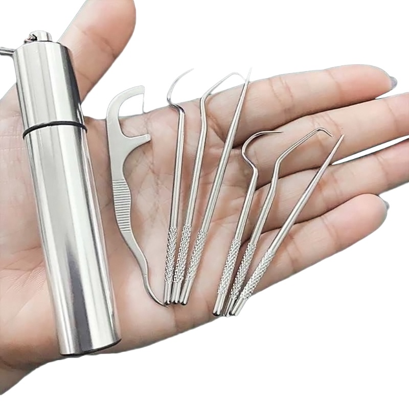 Bộ Tăm Xỉa Răng Bằng Thép Không Gỉ Có Thể Tái Sử Dụng Kèm Giá Đỡ Tiện Lợi