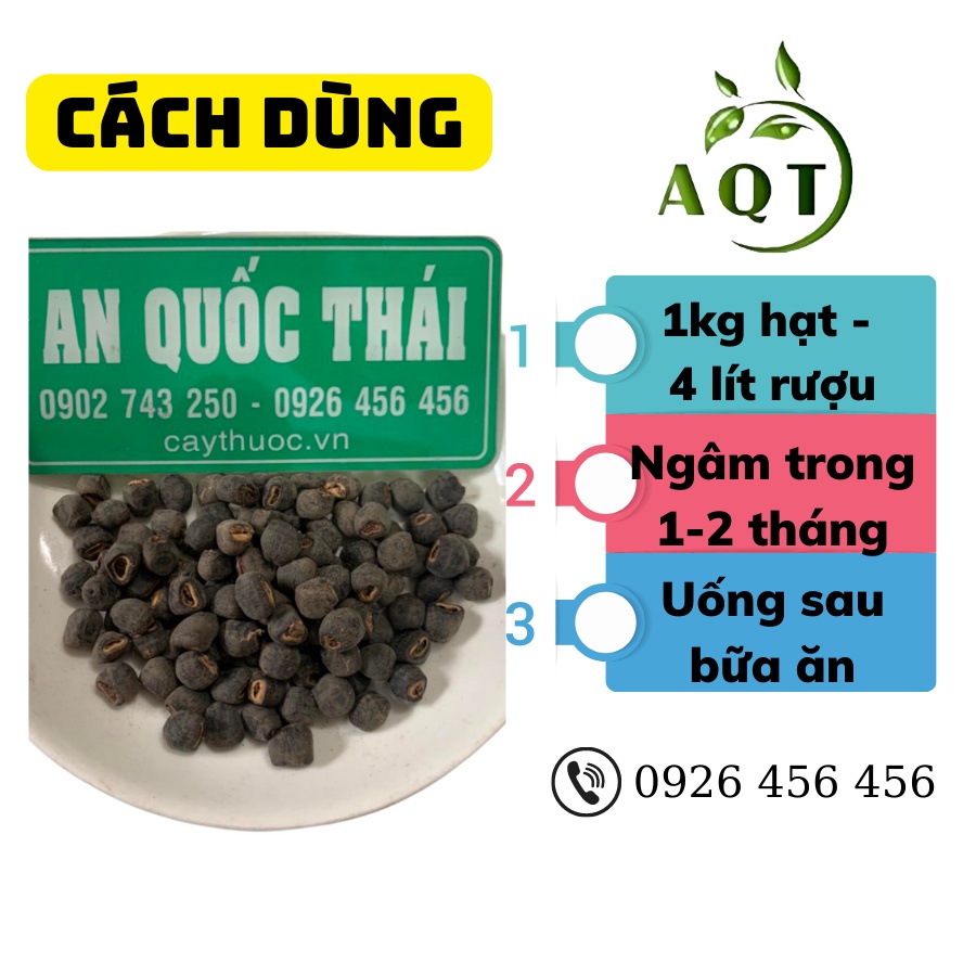 Chuối Hột Rừng Cô Đơn (Hạt Chuối Mồ Côi, Chuối Chân Voi) 1Kg Đặc Sản Ninh Thuận, Ngừa Sỏi Thận, Tiểu Đường