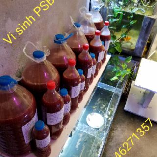 Vi sinh PSB Plus ( chai 1500 ml)