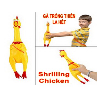 Gà trống thét shriling chicken 40cm