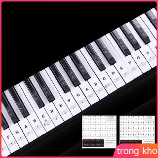 Set sticker dán nốt nhạc trong suốt cho đàn piano 88 phím