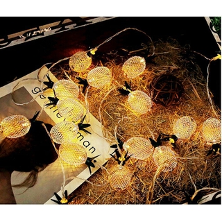 Đèn trang trí hình trái cây lưới - (10 bóng và 20 bóng)