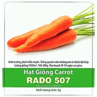 Hạt Giống Cà Rốt Dễ Trồng 5Gram