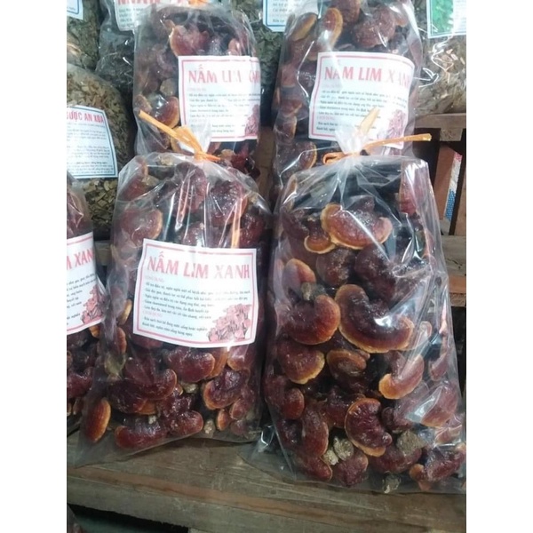 ⚡️SALE⚡️500g Nấm Lim xanh rừng Tây Bắc chuẩn rừng tự nhiên hỗ trợ bênh gout