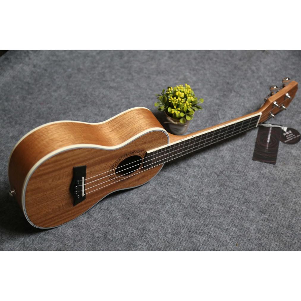 [Giá Sập Sàn] Đàn ukulele Concert Andrew tặng Full phụ kiện