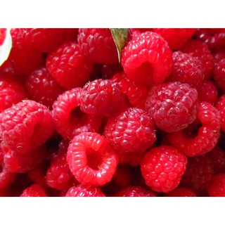 HẠT GIỐNG MÂM XÔI ĐỎ (CHẤT LƯỢNG-UY TÍN)