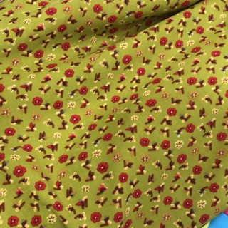 Vải Lanh và Thô boi