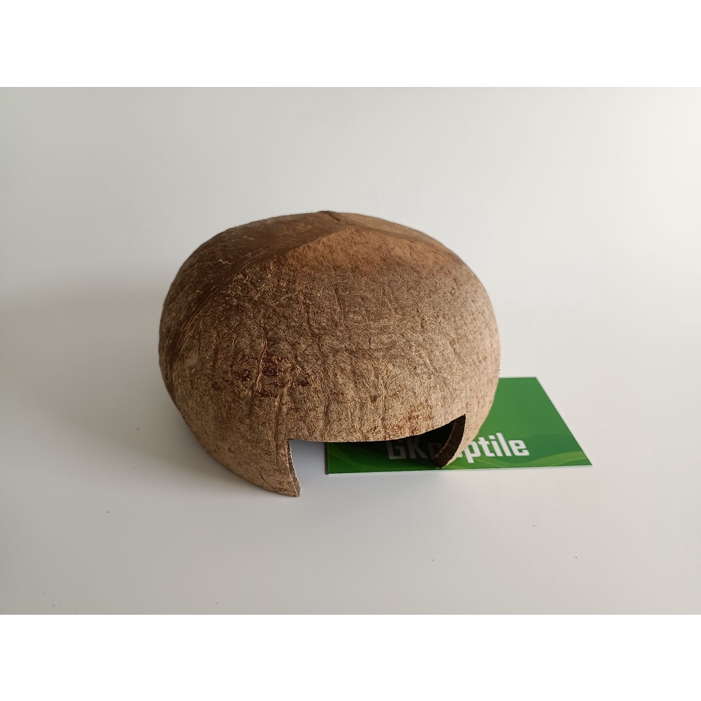 Hang trú gáo dừa