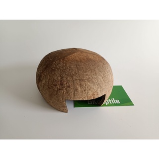 Hang trú gáo dừa