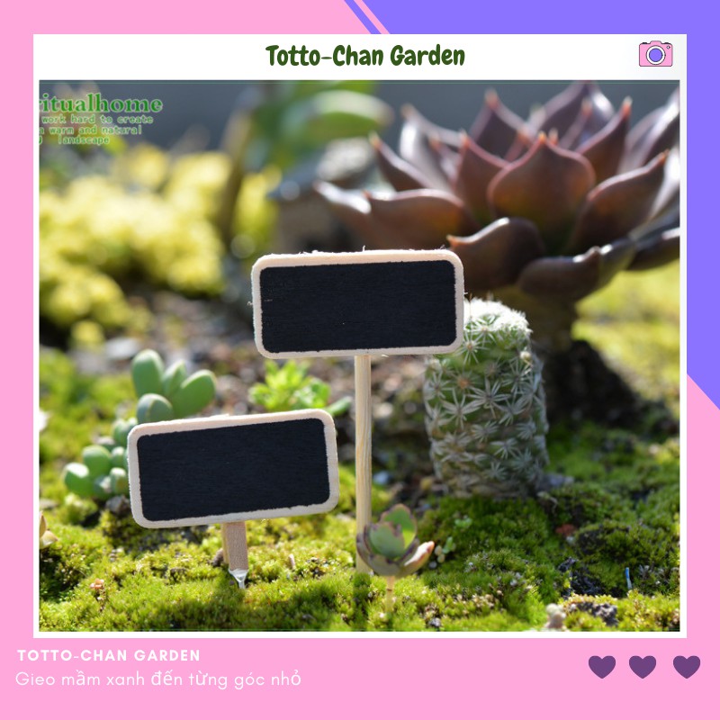 Biển tên phụ kiện trang trí tiếu cảnh terrarium mini