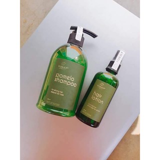COMBO XỊT VÀ DẦU GỘI BƯỞI VI JULLY COSMETIC