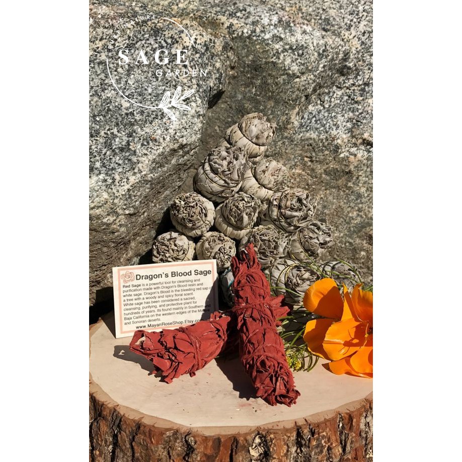 BẬC THẦY THANH TẨY - Xô Huyết Rồng (Dragon blood Sage)_Hàng nhập USA_SAGE GARDEN | BigBuy360 - bigbuy360.vn