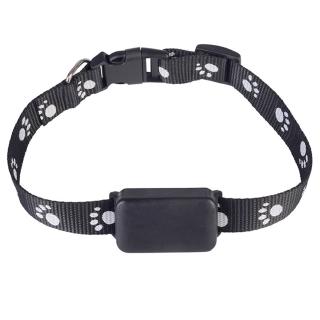 Thiết Bị Định Vị Gps Cho Thú Cưng