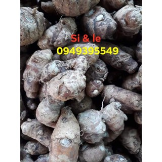 Địa liền 500g