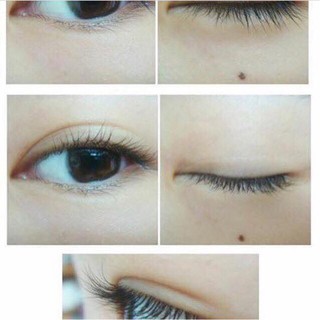 Bấm mi cán đen Vacosi