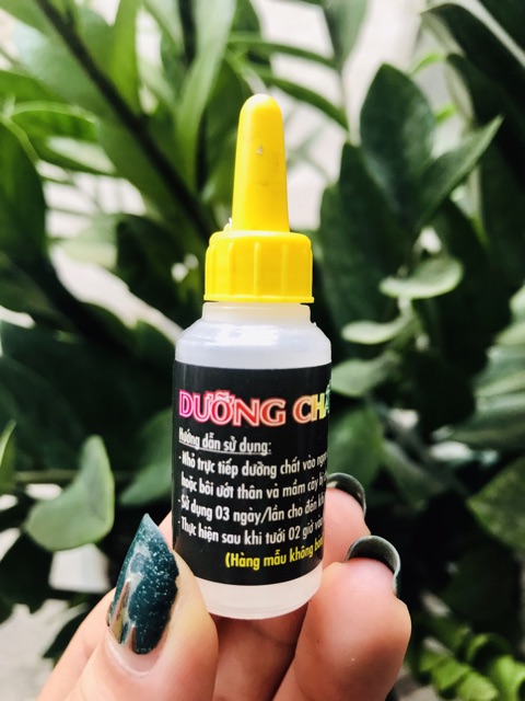 Dưỡng chất AB - Nuôi dưỡng mầm hoa (10ml)