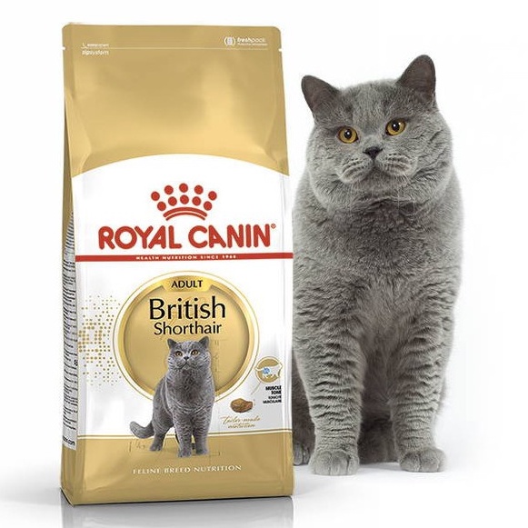 Royal Canin British Hair Túi Seal 2kg - Hạt Cho Mèo Anh Lông Ngắn Kitten &amp; Adult
