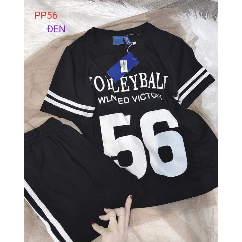 Đồ Bộ Quần Dài Cao Cấp, Kèm Ảnh Thật, Thun Cotton 100%, 45kg đến 80kg vừa, P56 | BigBuy360 - bigbuy360.vn