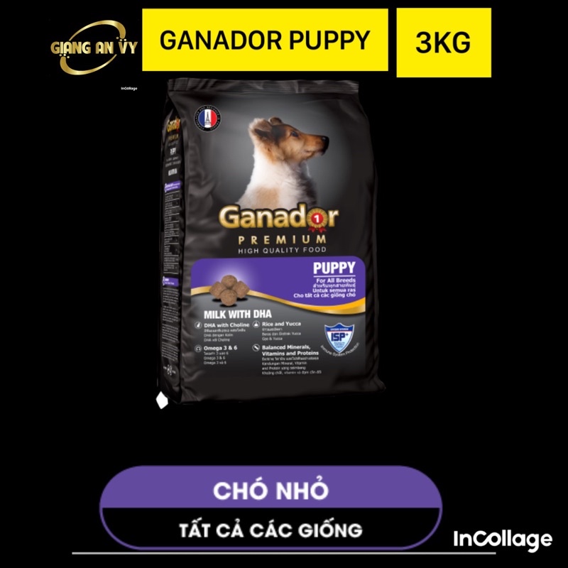 Ganador Puppy vị sữa DHA - thức ăn chó chó nhỏ chó dưới 12 tháng