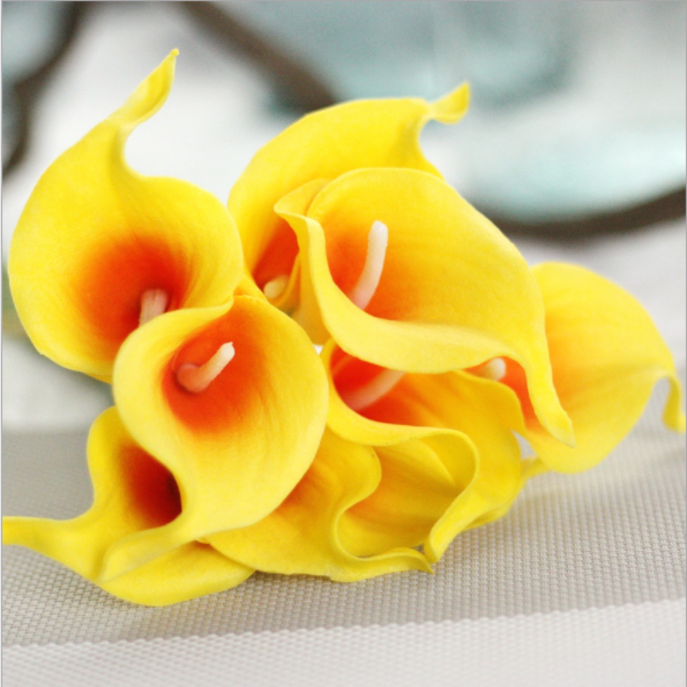 Ins 1 cành hoa calla lily, thủy vu, hoa rum phụ kiện chụp ảnh decor trang trí