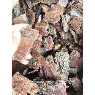 Vỏ thông trồng lan loại đẹp không vụn 1kg