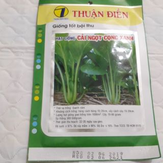 Hạt giống rau cải ngọt