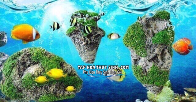 ĐÁ NỔI AVATAR TRANG TRÍ HỒ CÁ