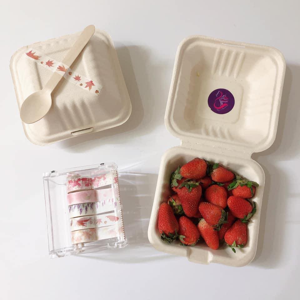 (Set 10) Hộp Bã Mía vuông đựng Bánh &amp; Hamburger