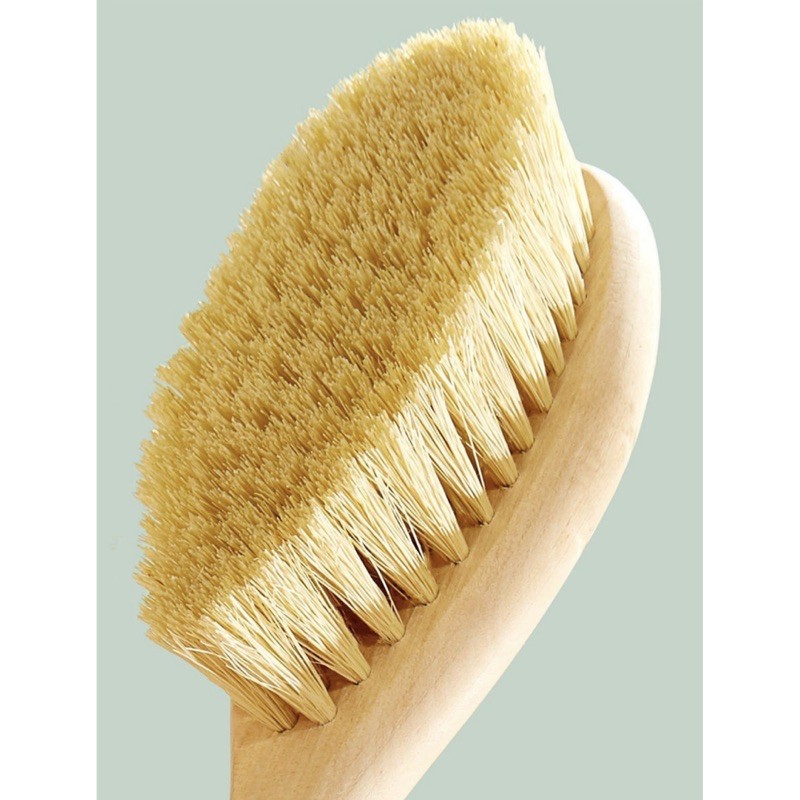 Bàn chải khô/ Cọ chà lưng
