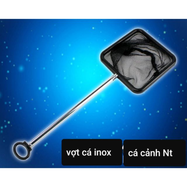 Vợt cá inox , cỡ nhỏ vợt betta