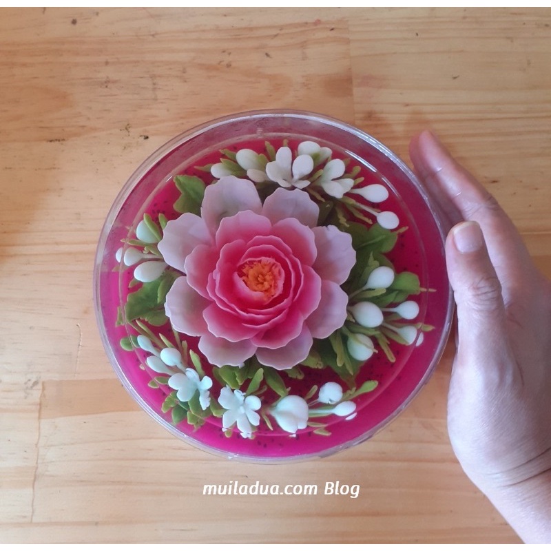 Bộ dụng cụ kim làm thạch rau câu 3D