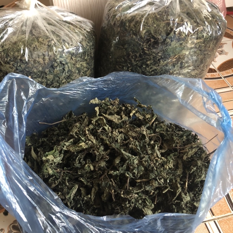 LÁ ĐẮNG.RAU RỪNG